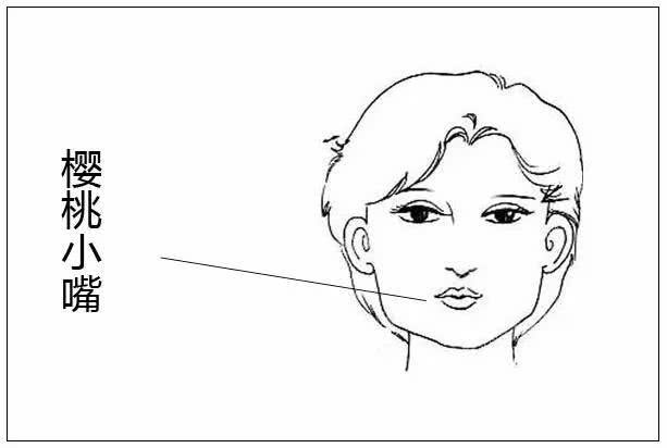 女人眉相学_面相学里的眉形图解女性_眉型面相女