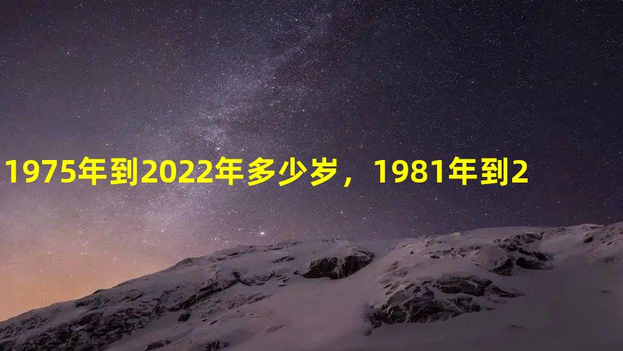 1975年到2022年多少岁，1981年到2022 年多少岁