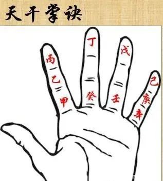 天干地支手指排列法_天干地支在手指的位置_天干地支在手指上的位置图