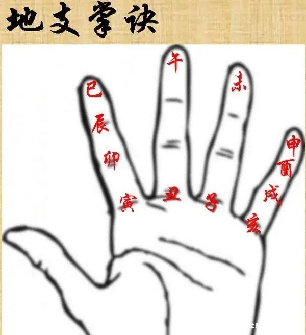 天干地支手指排列法_天干地支在手指上的位置图_天干地支在手指的位置