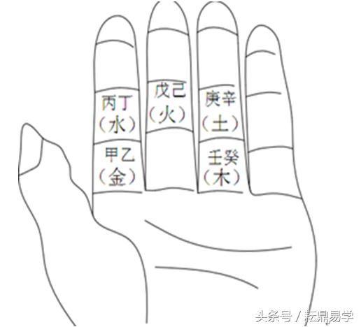 天干地支在手指的位置_天干地支手指排列法_天干地支在手指上的位置图